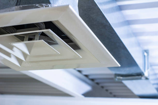 Air Duct Mold Removal in NV
