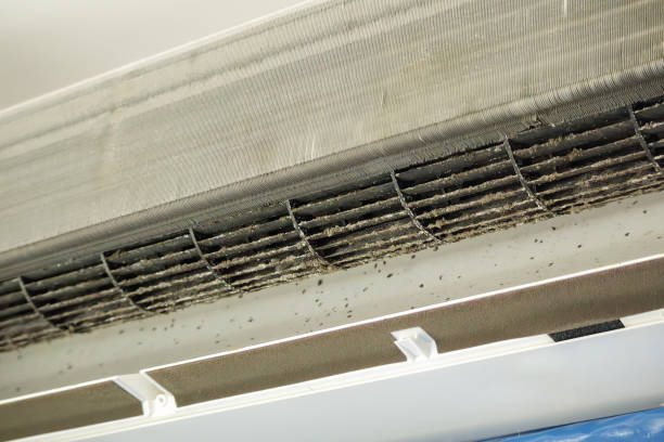 Best Ventilation Cleaning Services  in Jackpot, NV